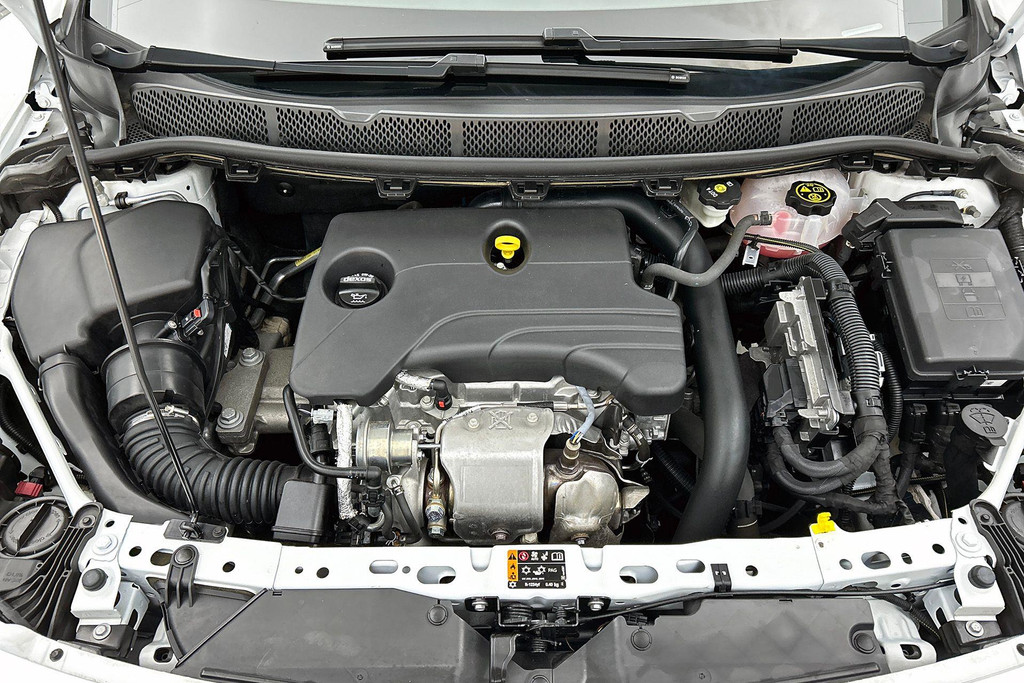 46247583-13.jpg